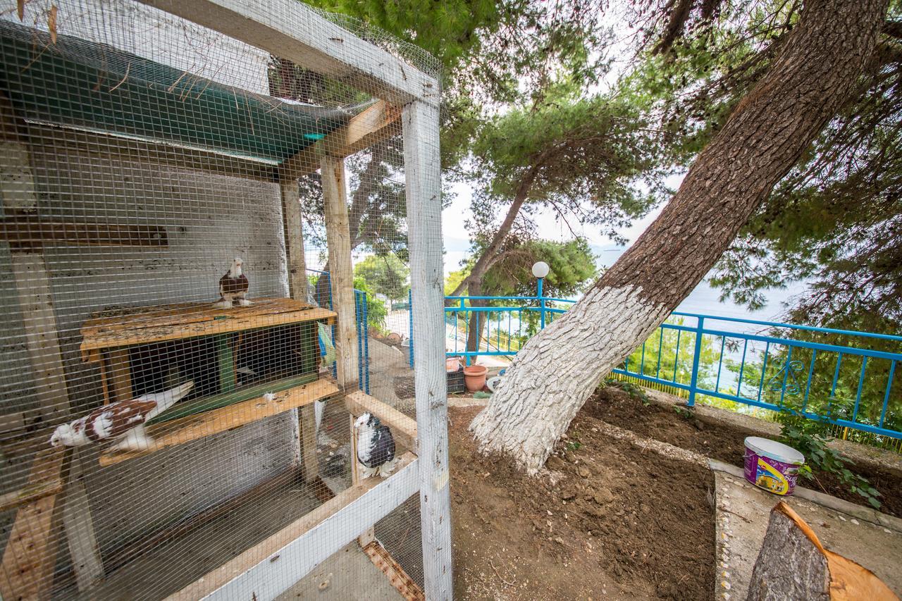 Isi Rooms Vlorë 外观 照片